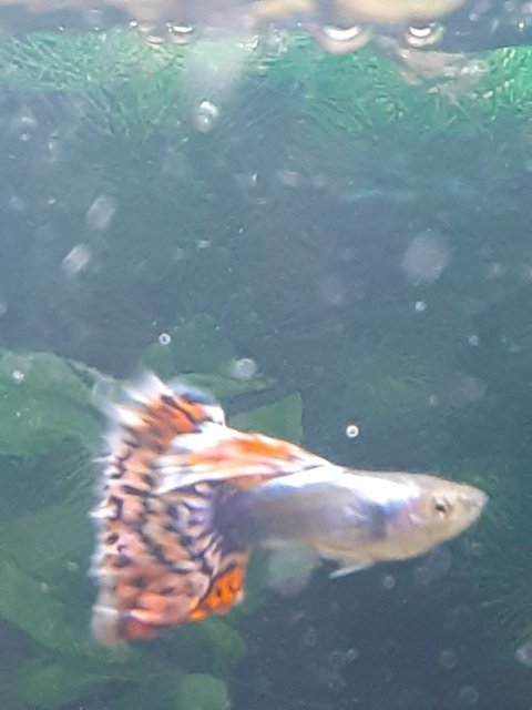 20201210_215325.jpg