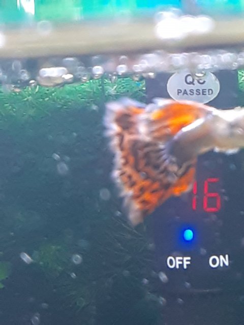 20201210_215356.jpg 20201210_215356.jpg