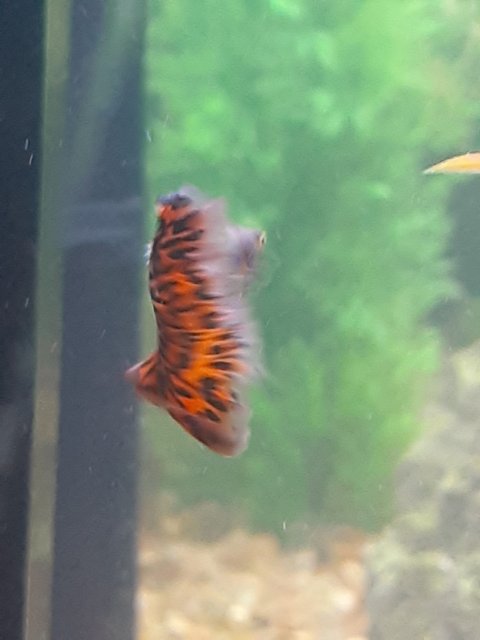20201210_215509.jpg