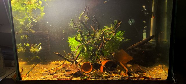 20201215_225218.jpg