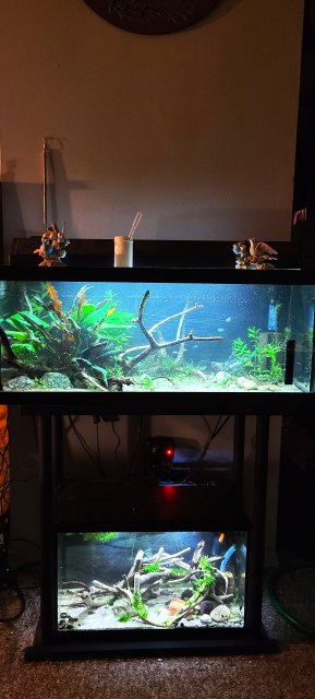 20201217_235615.jpg