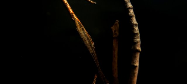 20201218_003834.jpg