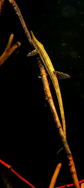20201218_003810.jpg