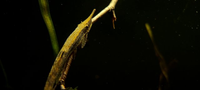 20201217_200150.jpg