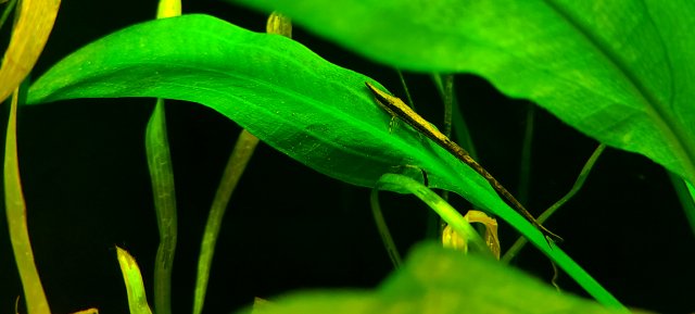 20201217_195713.jpg