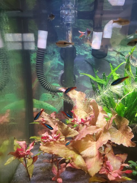 20201218_140317.jpg