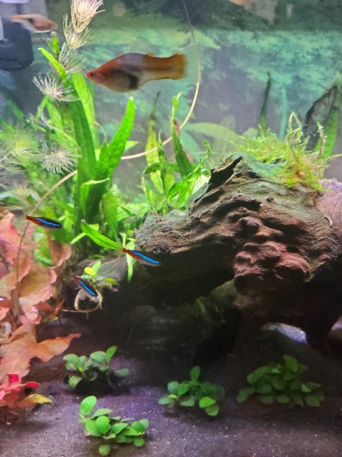 20201218_140326.jpg