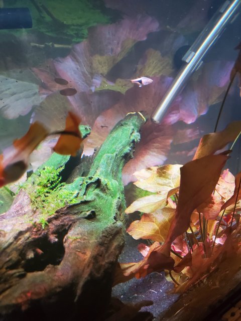 20201218_140349.jpg