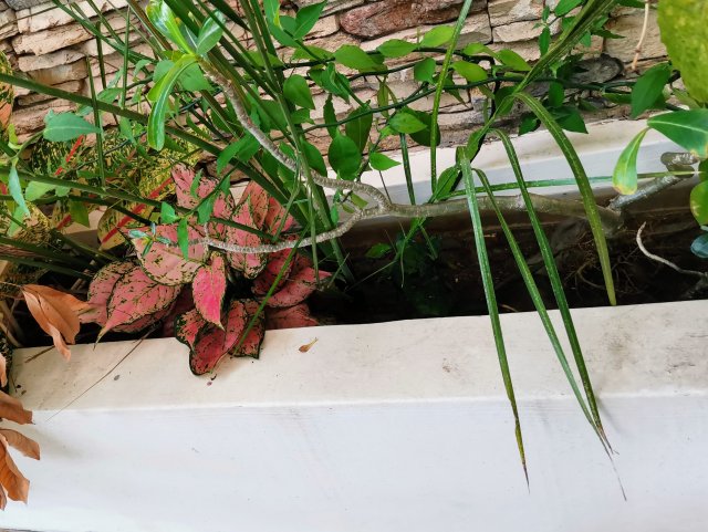 IMG_20201219_132801.jpg
