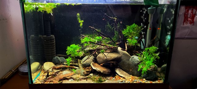 20201223_142507.jpg