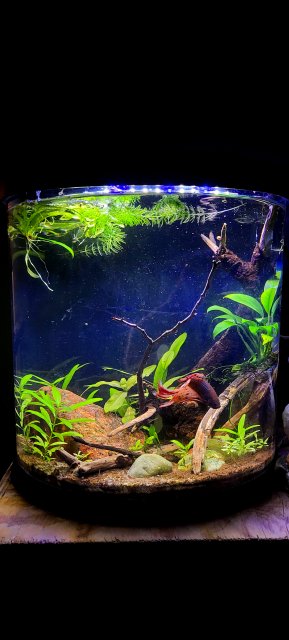 20201222_221619.jpg