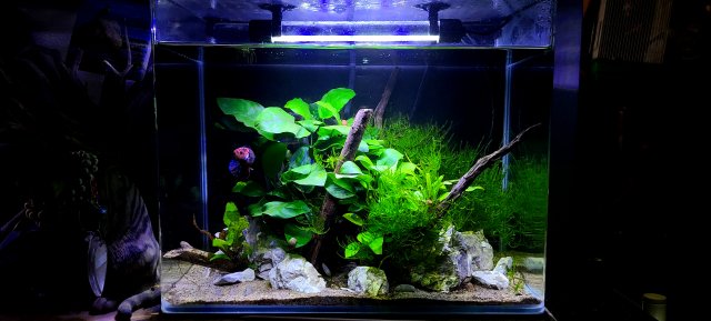 20201222_221451.jpg