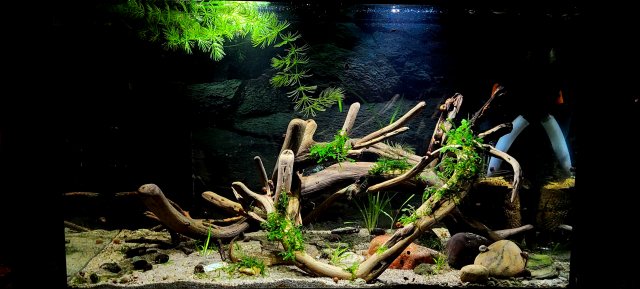 20201221_000006.jpg