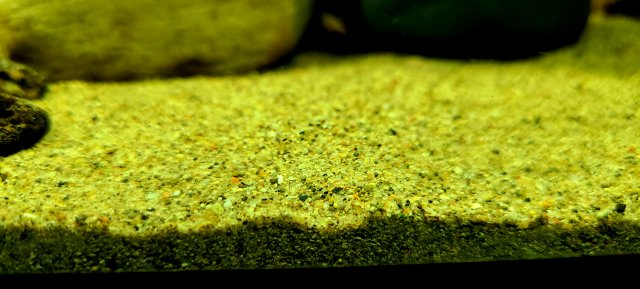 20201225_171748.jpg