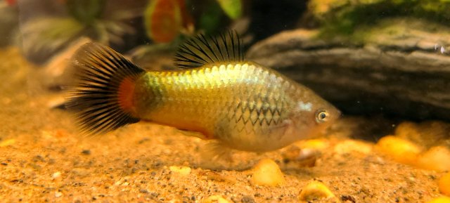 20201211_014535.jpg