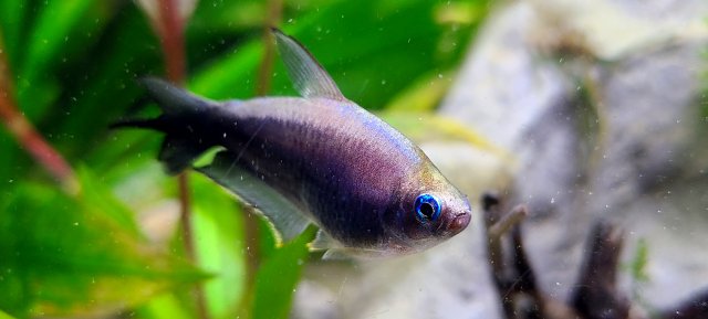 20201223_174621.jpg