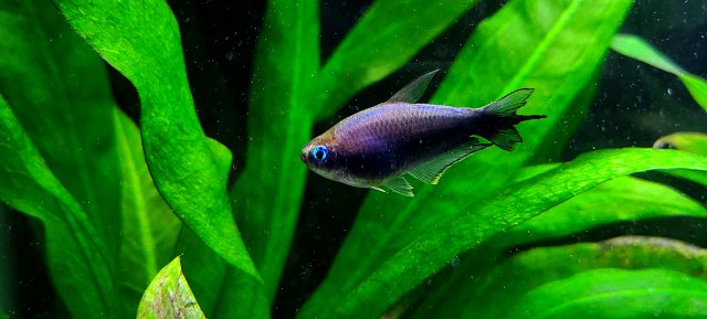 20201223_175037.jpg