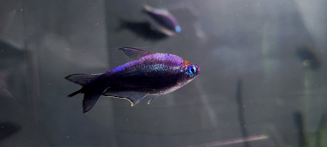 20201223_143558.jpg