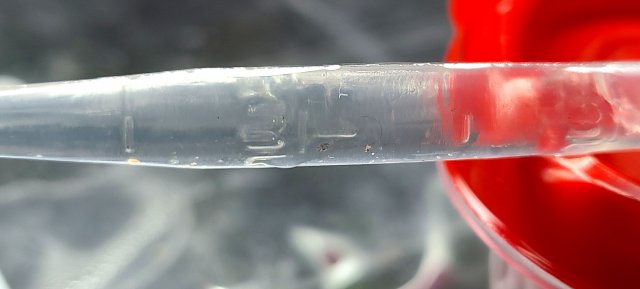 20201227_164148.jpg