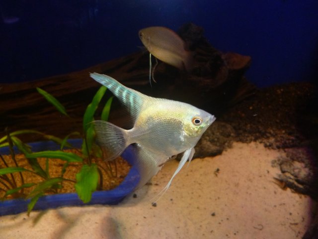 P1020066~2.JPG