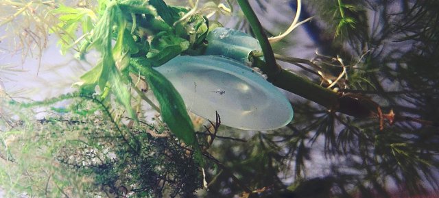 20201228_202442.jpg