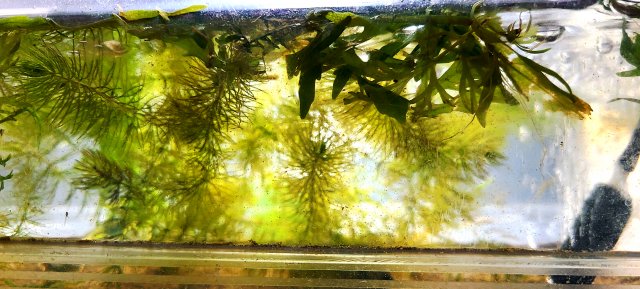 20201229_134200.jpg