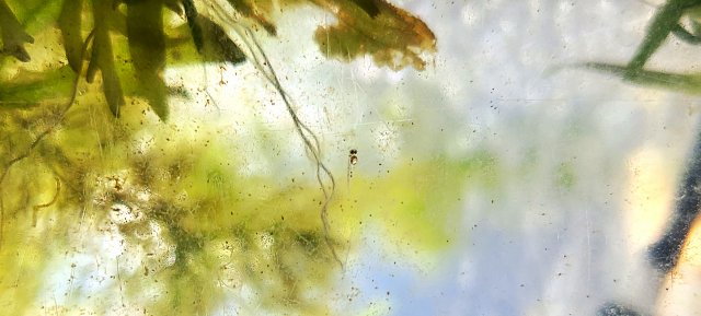 20201229_134036.jpg