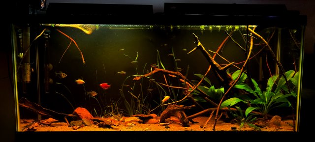 20201230_195631.jpg