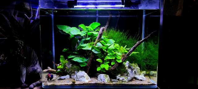 20201230_001731.jpg