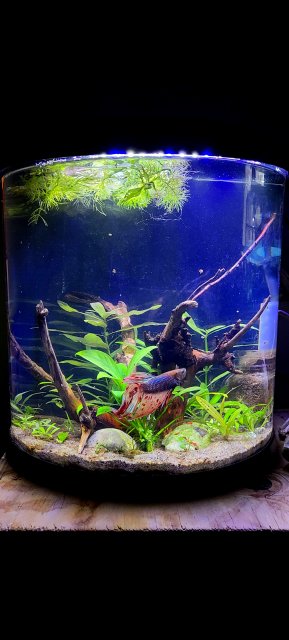 20201228_150215.jpg