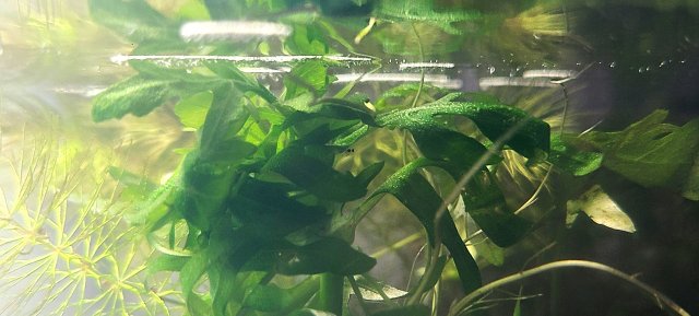 20201231_154312.jpg