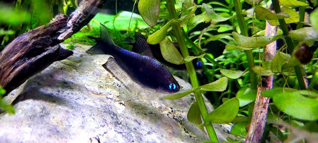 20201223_174900.jpg