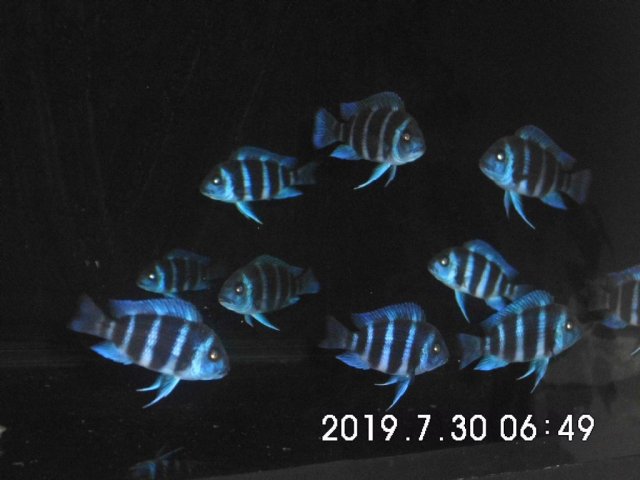 300720190940041.jpg