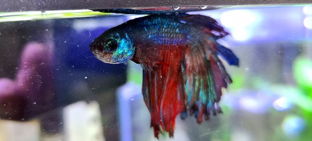 20210102_133548.jpg 20210102_133548.jpg