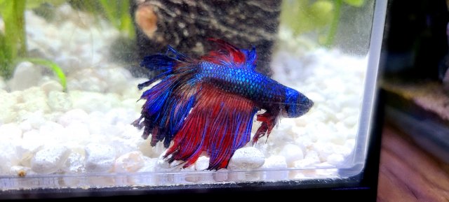 20210101_203447.jpg 20210101_203447.jpg