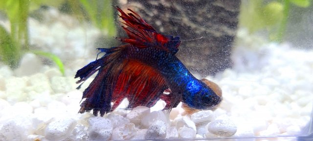 20210101_203427.jpg 20210101_203427.jpg