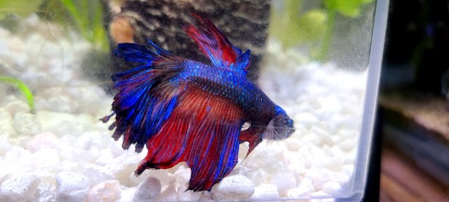 20210101_203445.jpg 20210101_203445.jpg