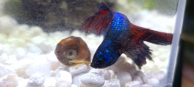 20210101_203258.jpg 20210101_203258.jpg