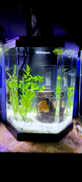 20210101_183010.jpg 20210101_183010.jpg