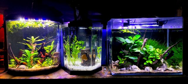 20210101_183000.jpg 20210101_183000.jpg