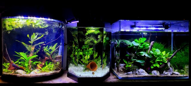 20210103_000535.jpg 20210103_000535.jpg