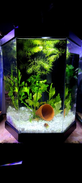 20210103_000213.jpg 20210103_000213.jpg