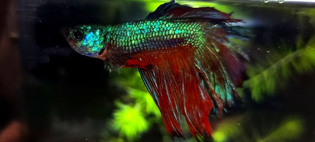 20210104_145841.jpg 20210104_145841.jpg