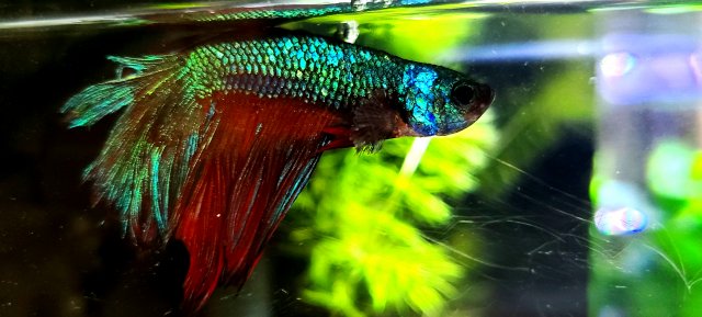 20210104_145658.jpg 20210104_145658.jpg