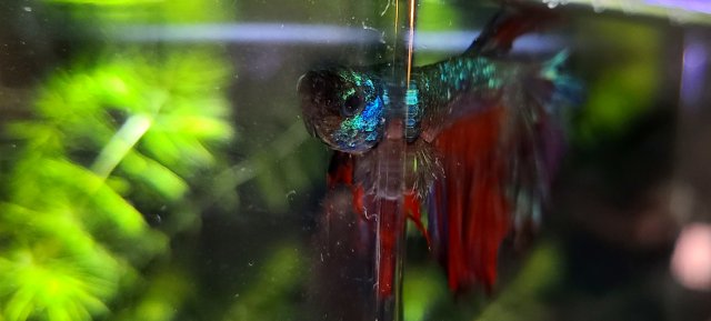 20210104_145805.jpg 20210104_145805.jpg