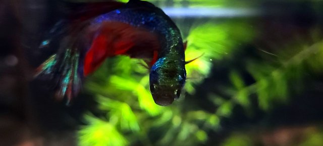 20210104_145731.jpg 20210104_145731.jpg