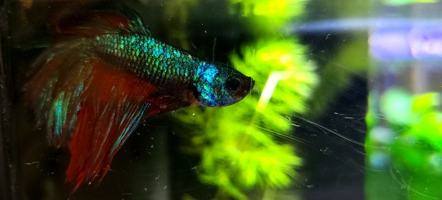 20210104_145638.jpg 20210104_145638.jpg