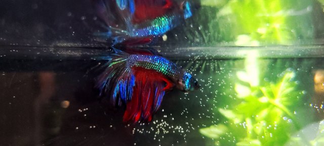 20210105_160905.jpg 20210105_160905.jpg