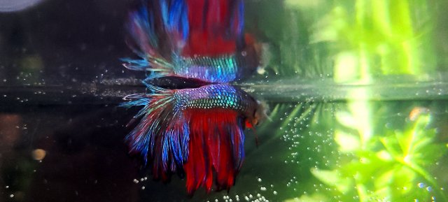 20210105_160857.jpg 20210105_160857.jpg