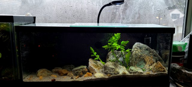 20210105_153610.jpg 20210105_153610.jpg